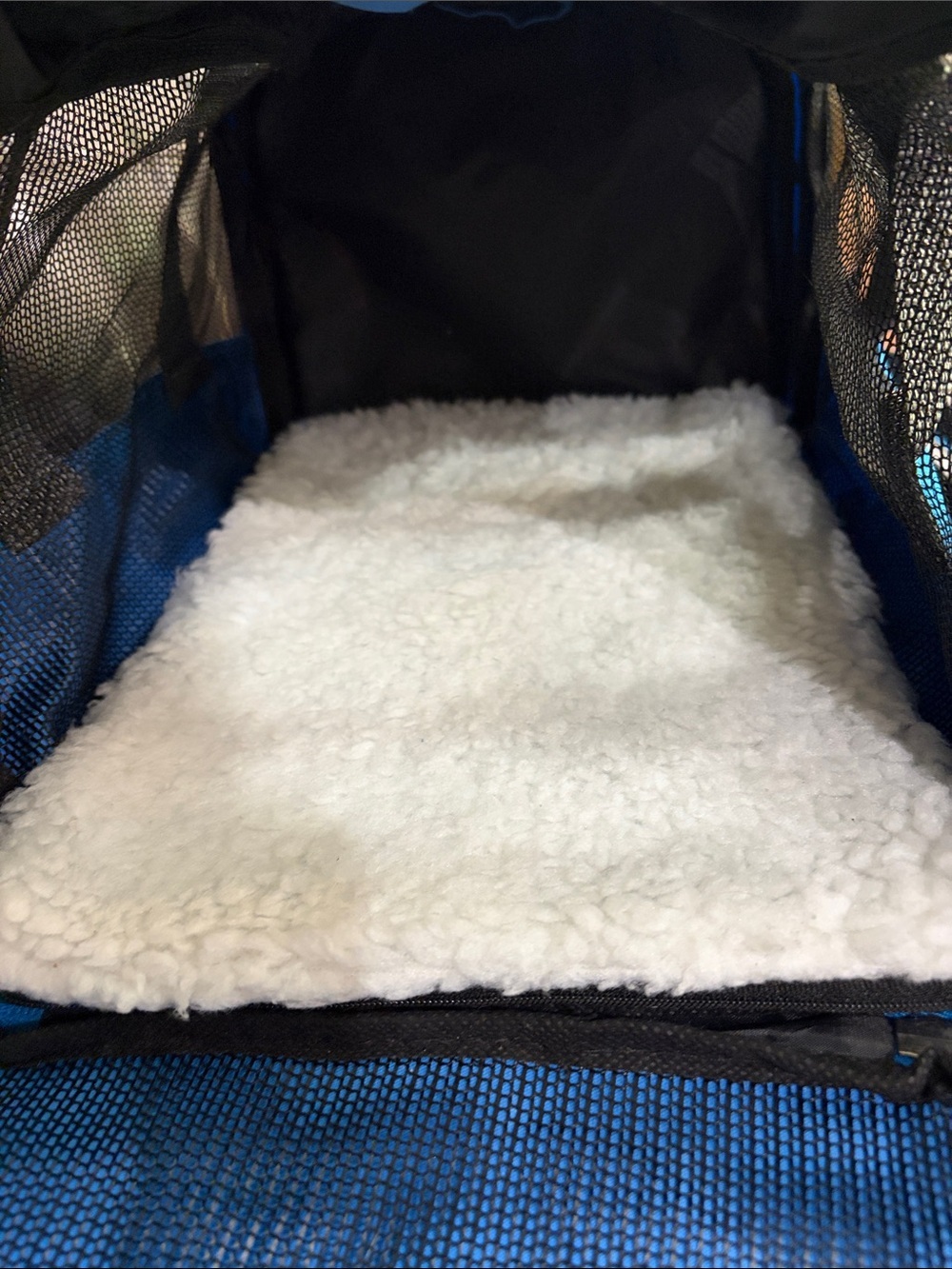 Blue Small Pet Carrier with Gray Straps - Picture 3 of 13